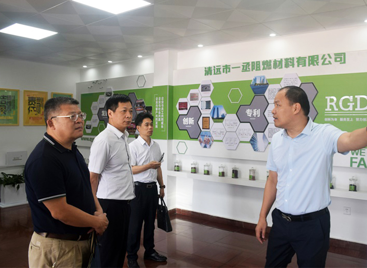 国资委罗伟民主任一行莅临清远市KA电子阻燃公司考察指导