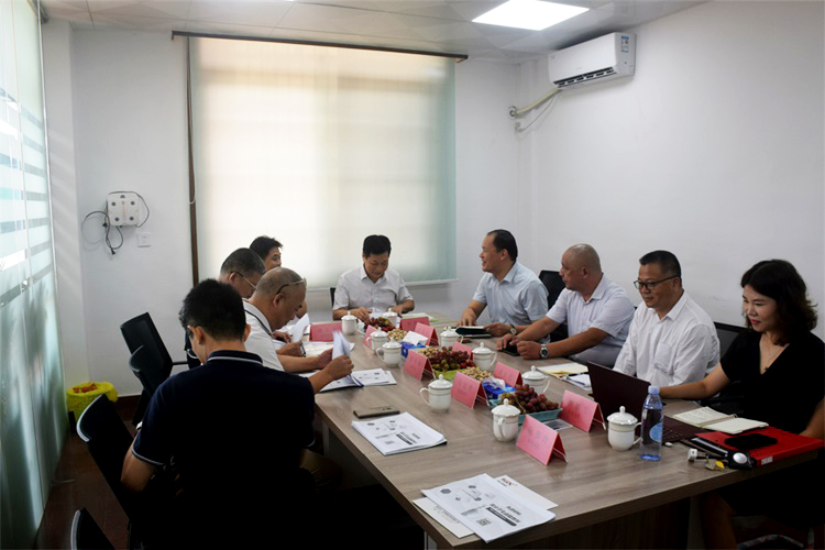 国资委罗伟民主任一行莅临清远市KA电子阻燃公司考察指导